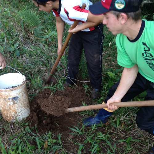 Coleta de terra para solo/cimento